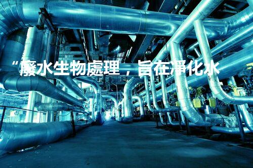 “廢水生物處理，旨在凈化水源，守護(hù)碧水藍(lán)天”